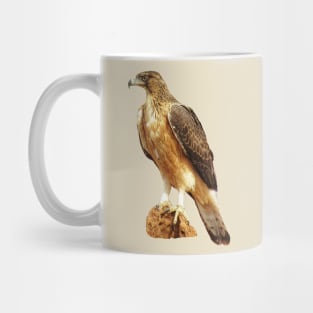 Snake-Eagle - Bird - Eagle in Africa Mug